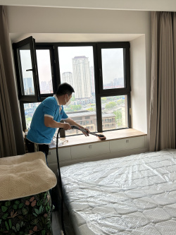 津南新城治理